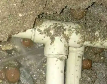 临清测漏水多少钱