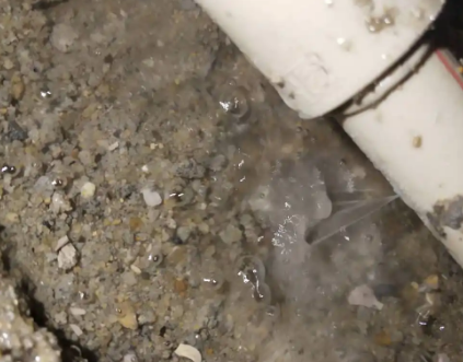 临清测漏水电话号码