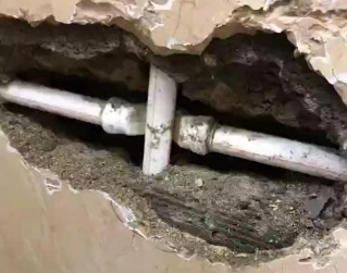 临清测漏水哪家好