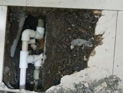 临清测漏水哪家好