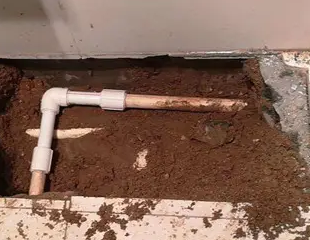 临清测漏水哪家好