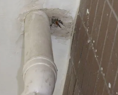 临清漏水检测哪家好